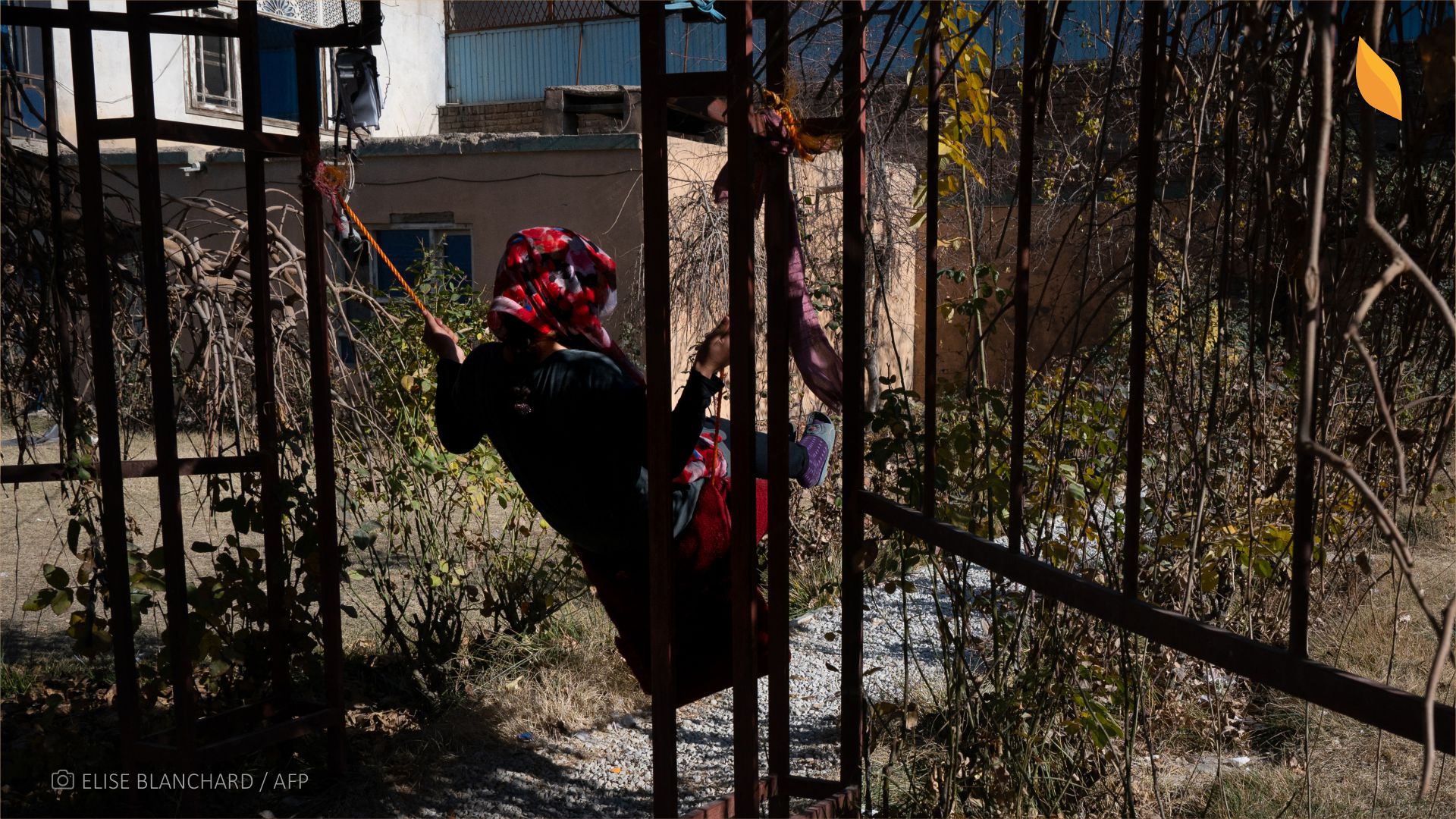 عکس تزیینی / Photo by ELISE BLANCHARD / AFP