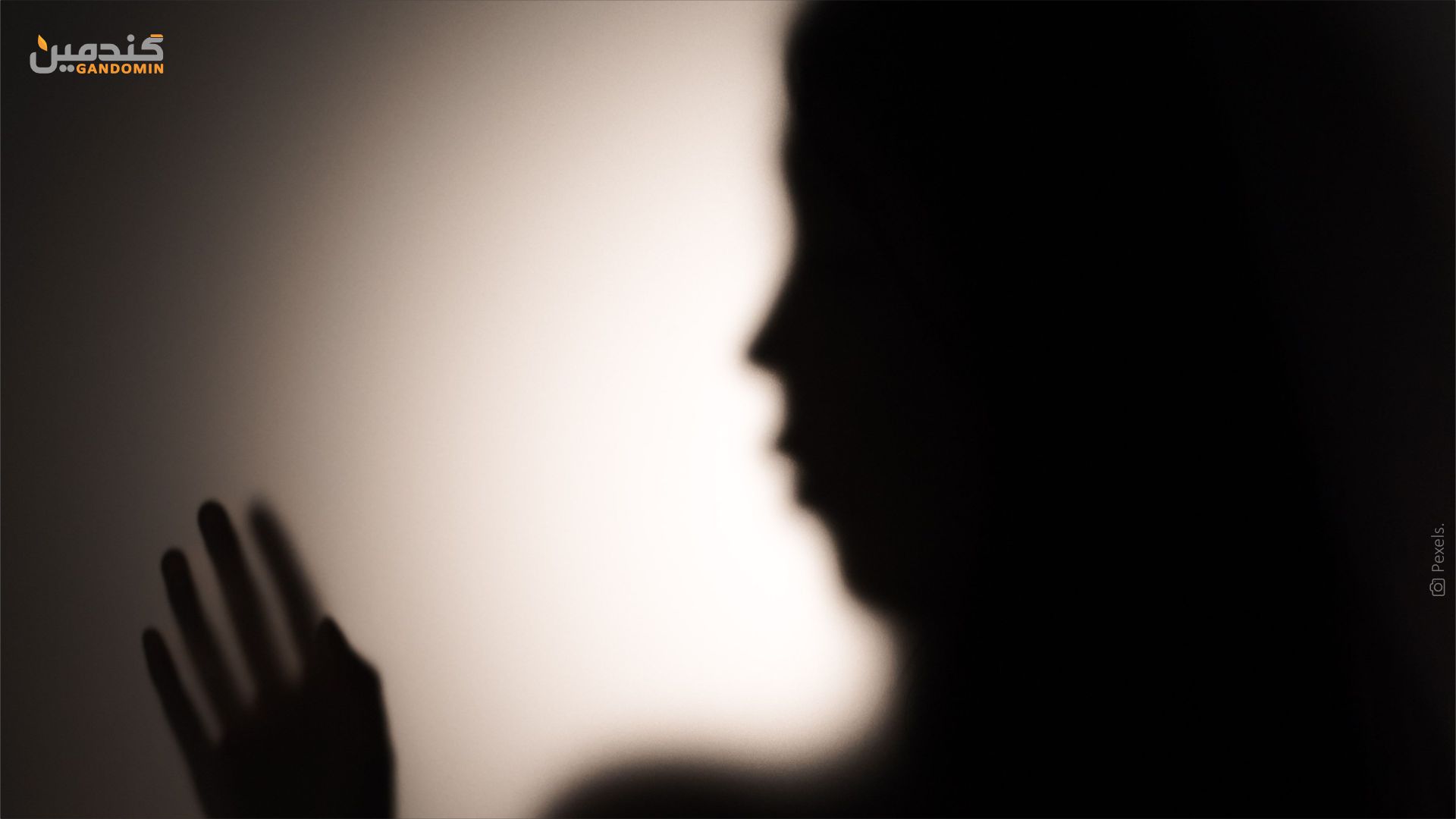Image: Pexels